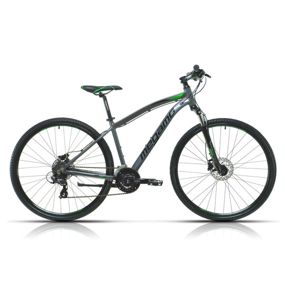 Catalog Image